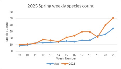 Count of species per week